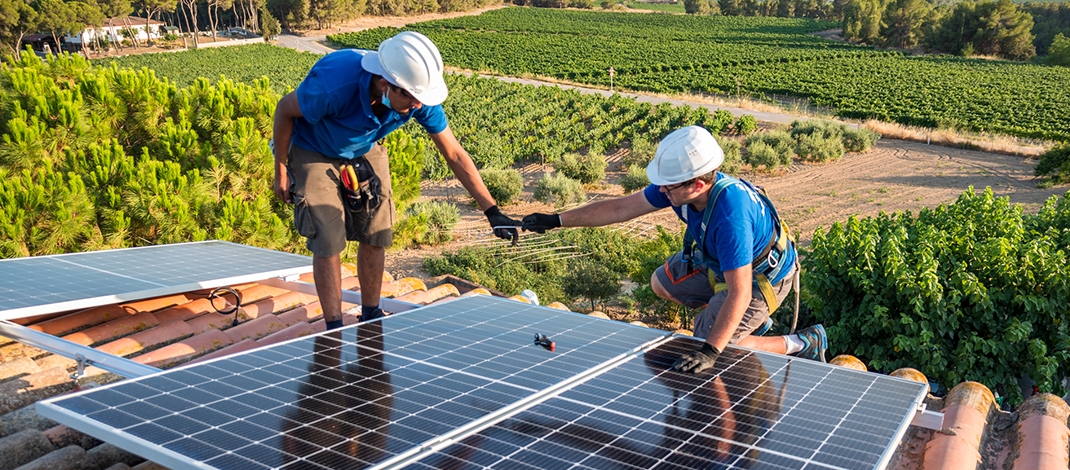 Driving Progress, Innovation, and Excellence at Ontogeny Group